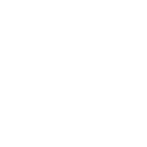 iconwhite